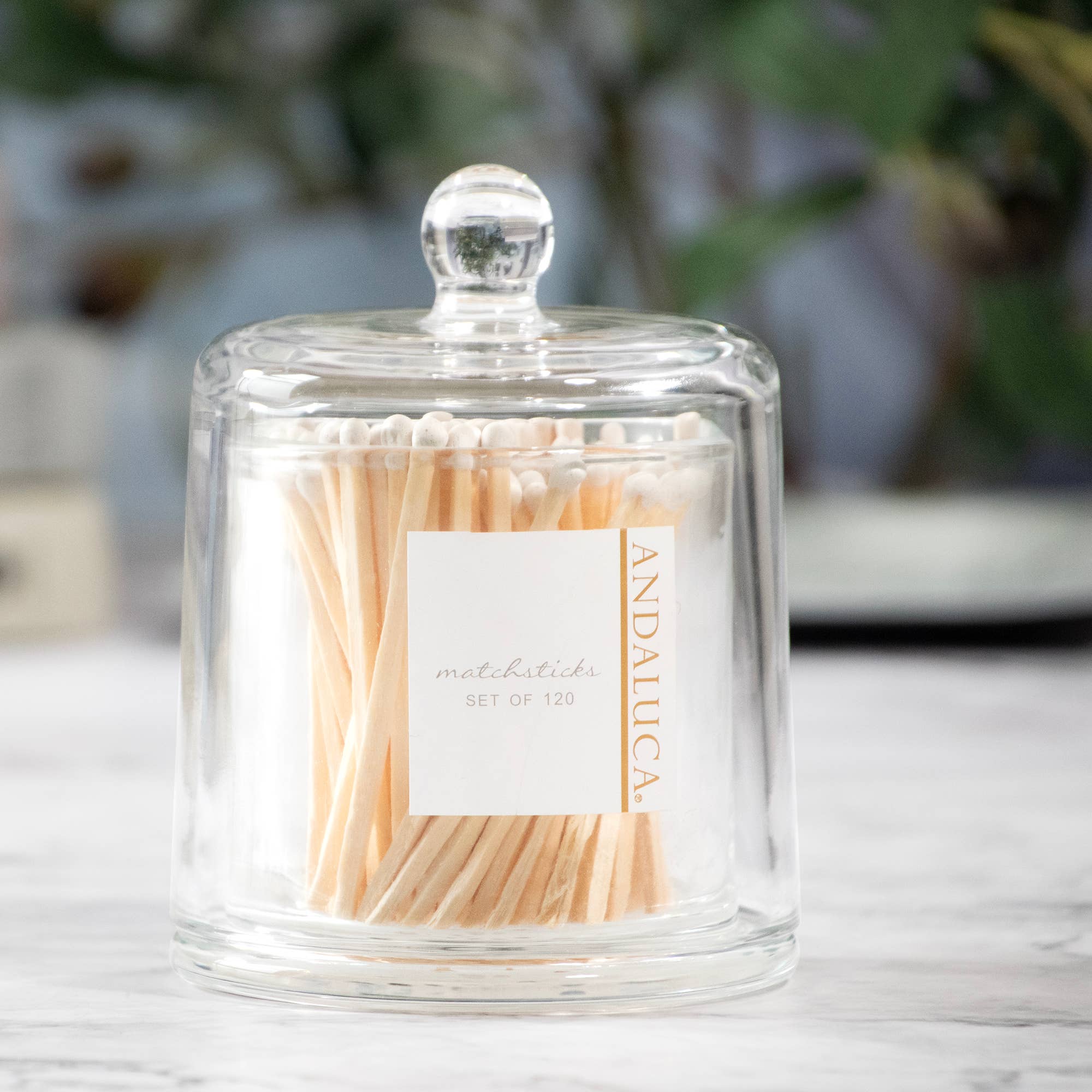 Glass Cloche with Matches