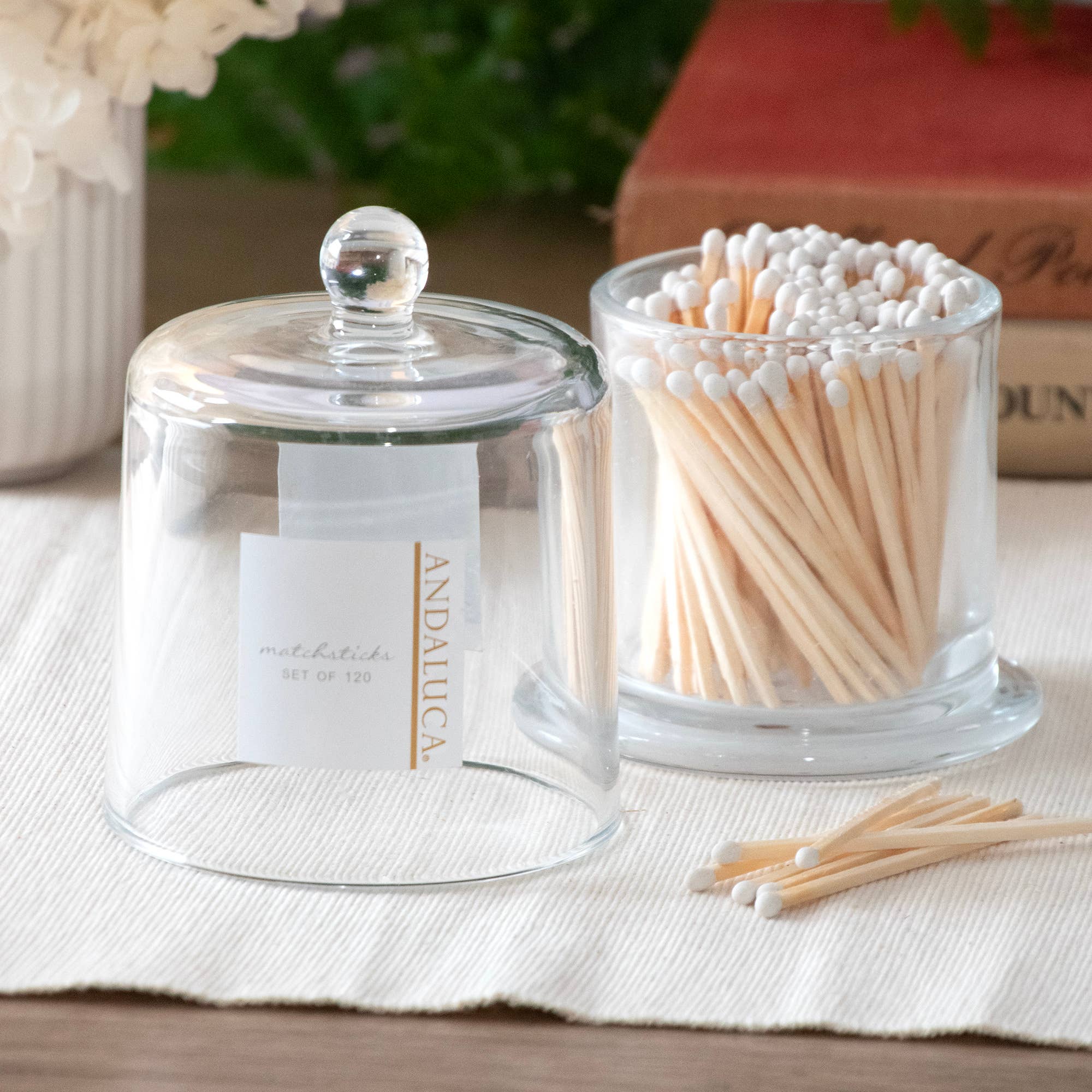 Glass Cloche with Matches