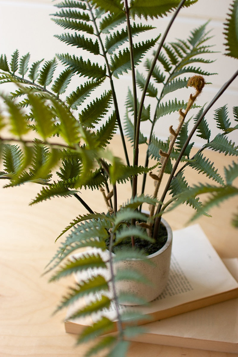 Faux Potted Fern