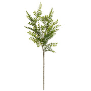 Ruscus Spray