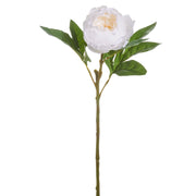 23" Real Touch White Peony Stem