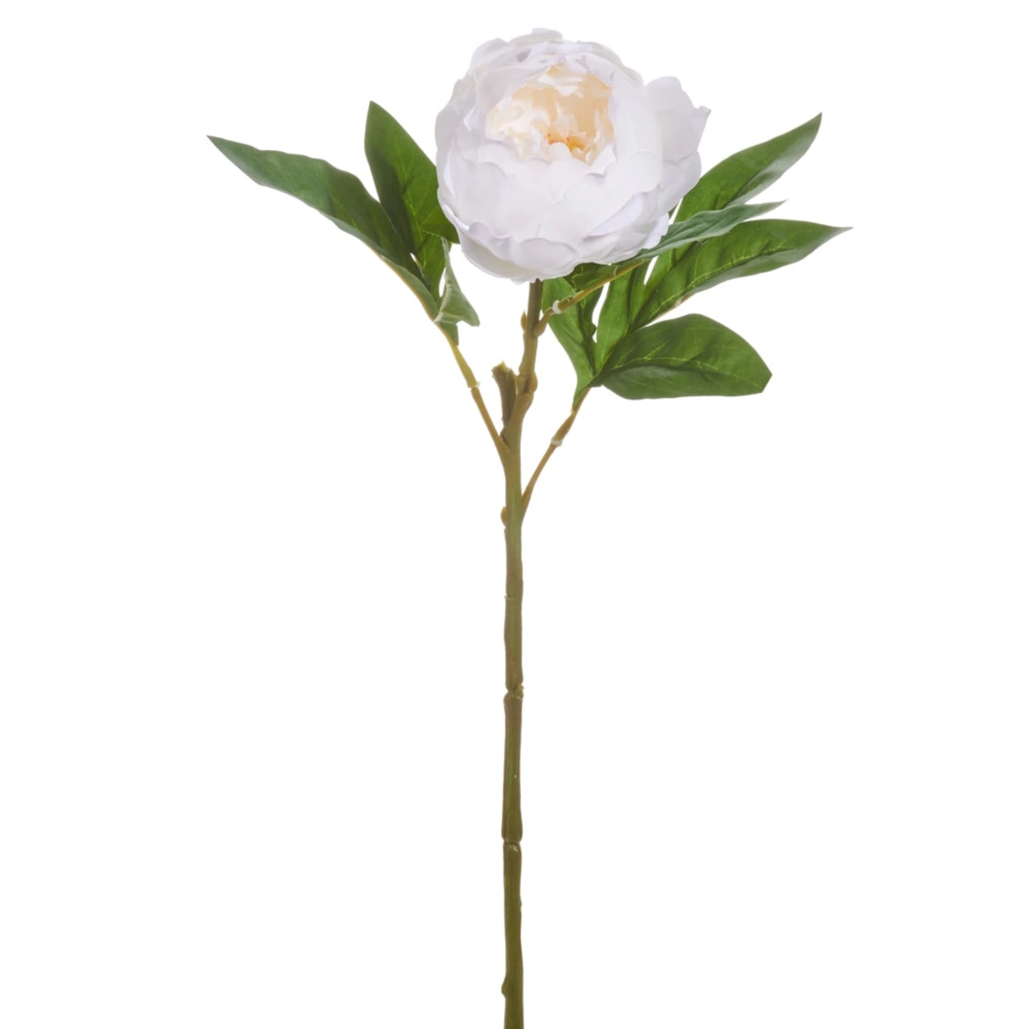 23" Real Touch White Peony Stem