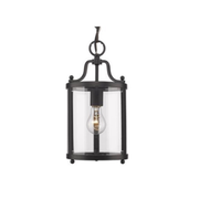 Payton 1 Light Mini Pendant