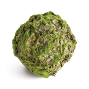 6.5" Mossy Lichen Orb