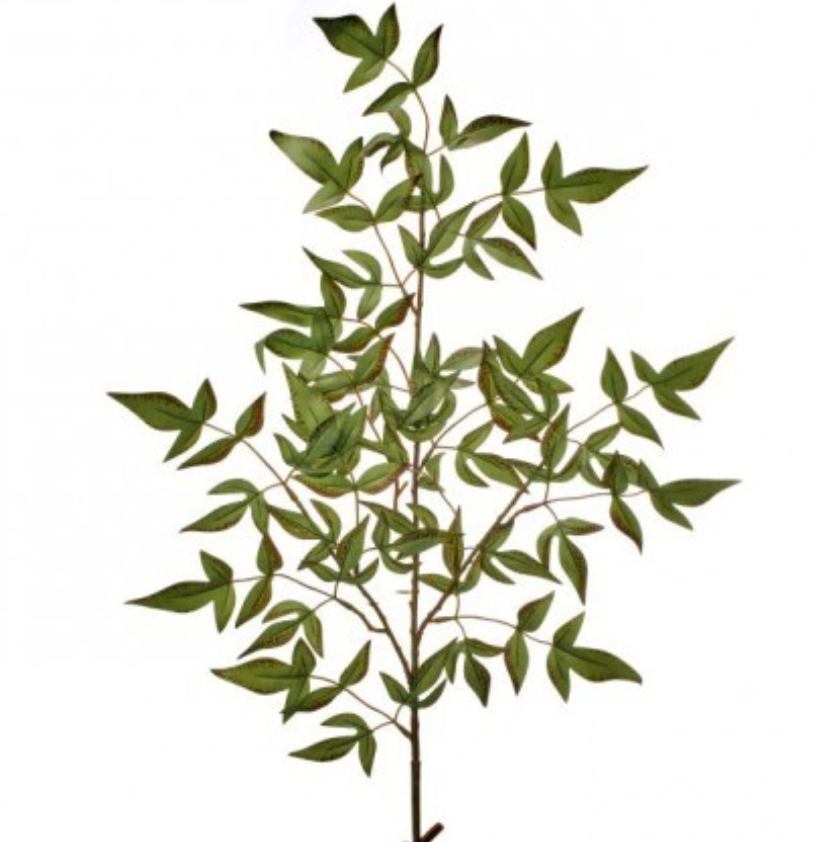 Nandina Spray