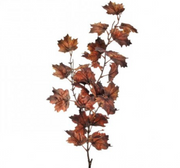 Nutmeg Vermont Maple Spray