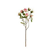 20.5" Coral Rose Spray