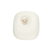 Colleen Wall Sconce