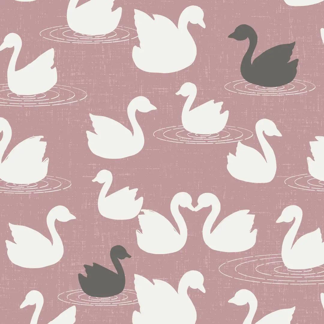 Swans A Swimming