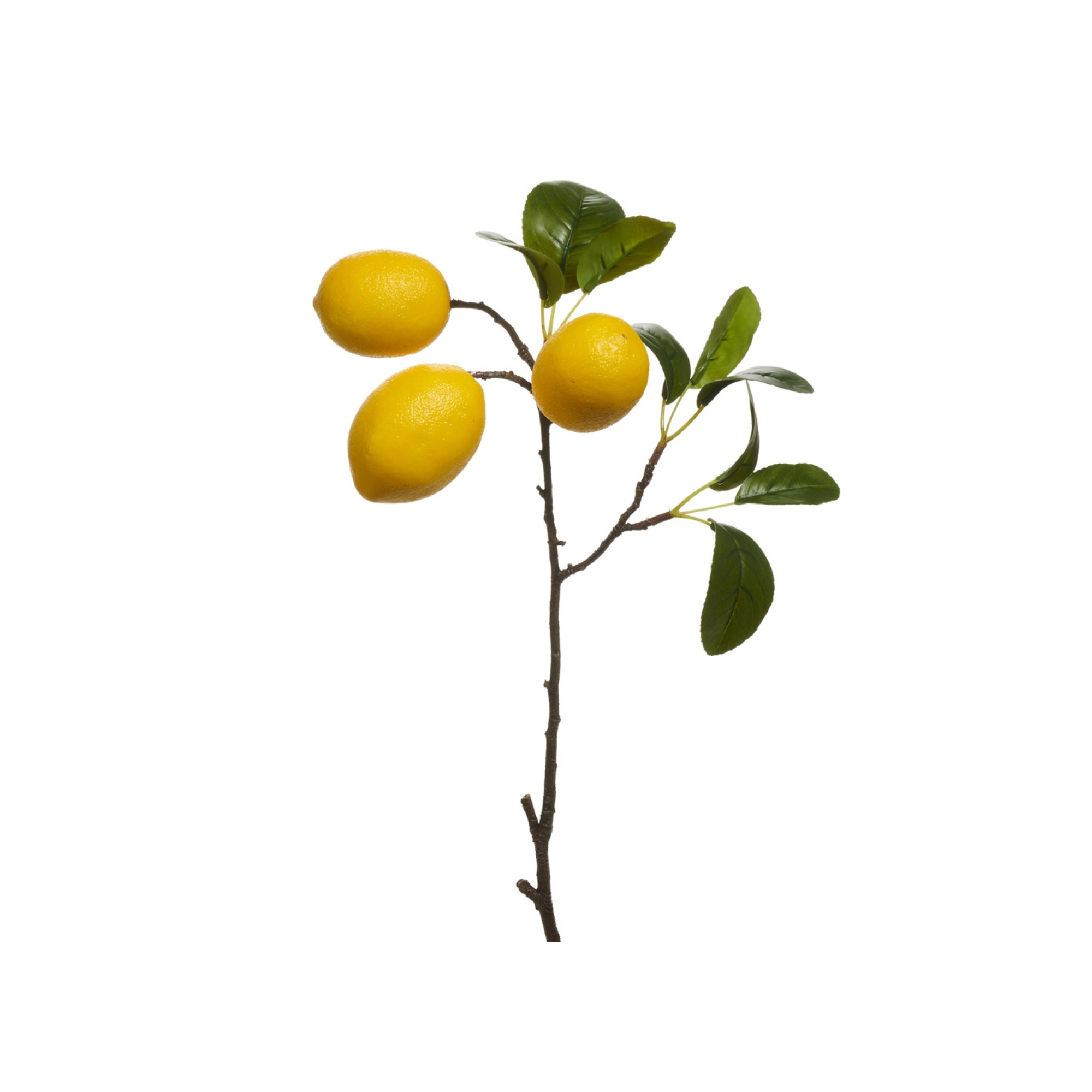 20" Lemon Spray