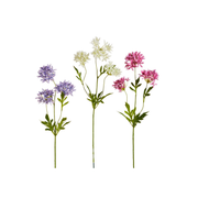 29" Lily Of The Nile Spray
