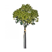 Green Cottage Berry Bundle