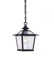 Ronan Outdoor Pendant