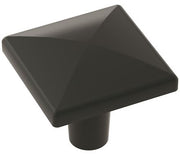 EXTENSITY 1-1/8 In Length Knob