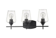 Julia Matte Black Vanity Light